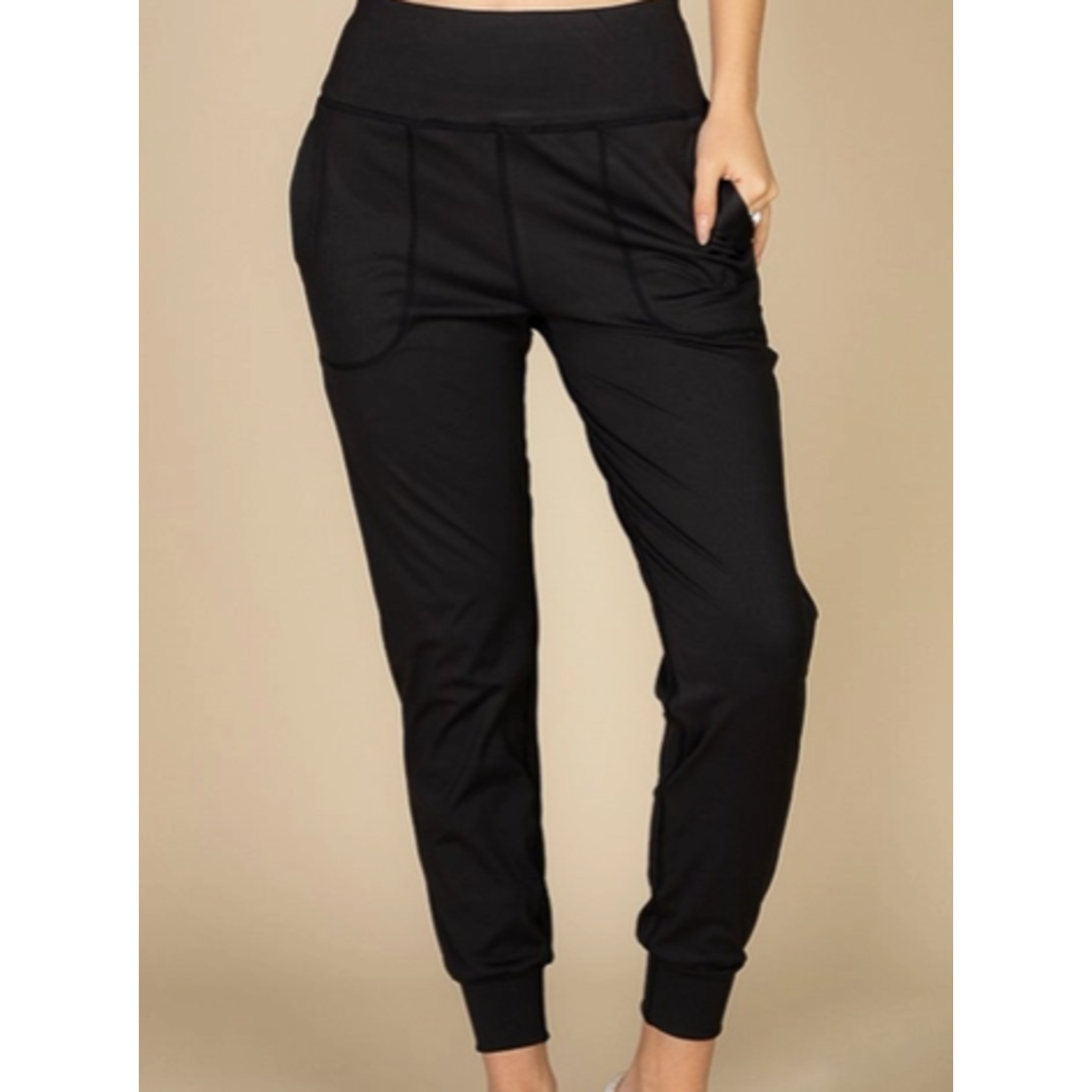 Vanilla Monkey VM High Waisted Joggers