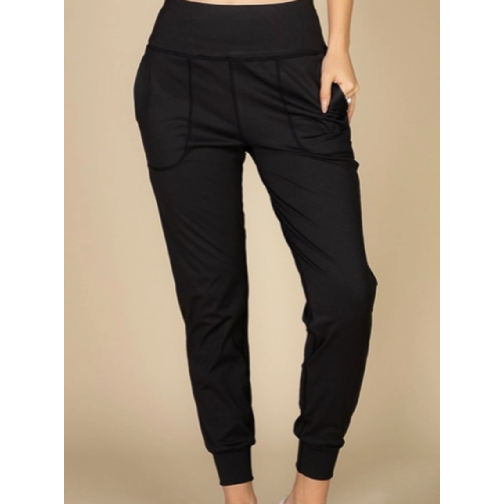 Vanilla Monkey VM High Waisted Joggers