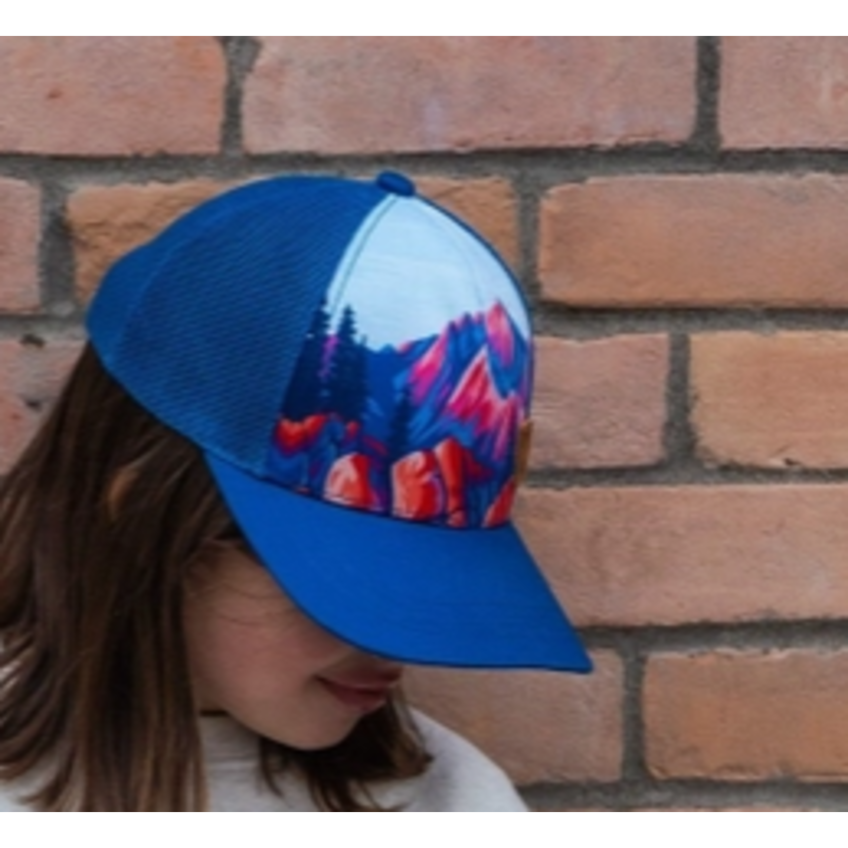 The Montana Scene TMS Illustrated Kids Truckers Rocky Mountain Blue
