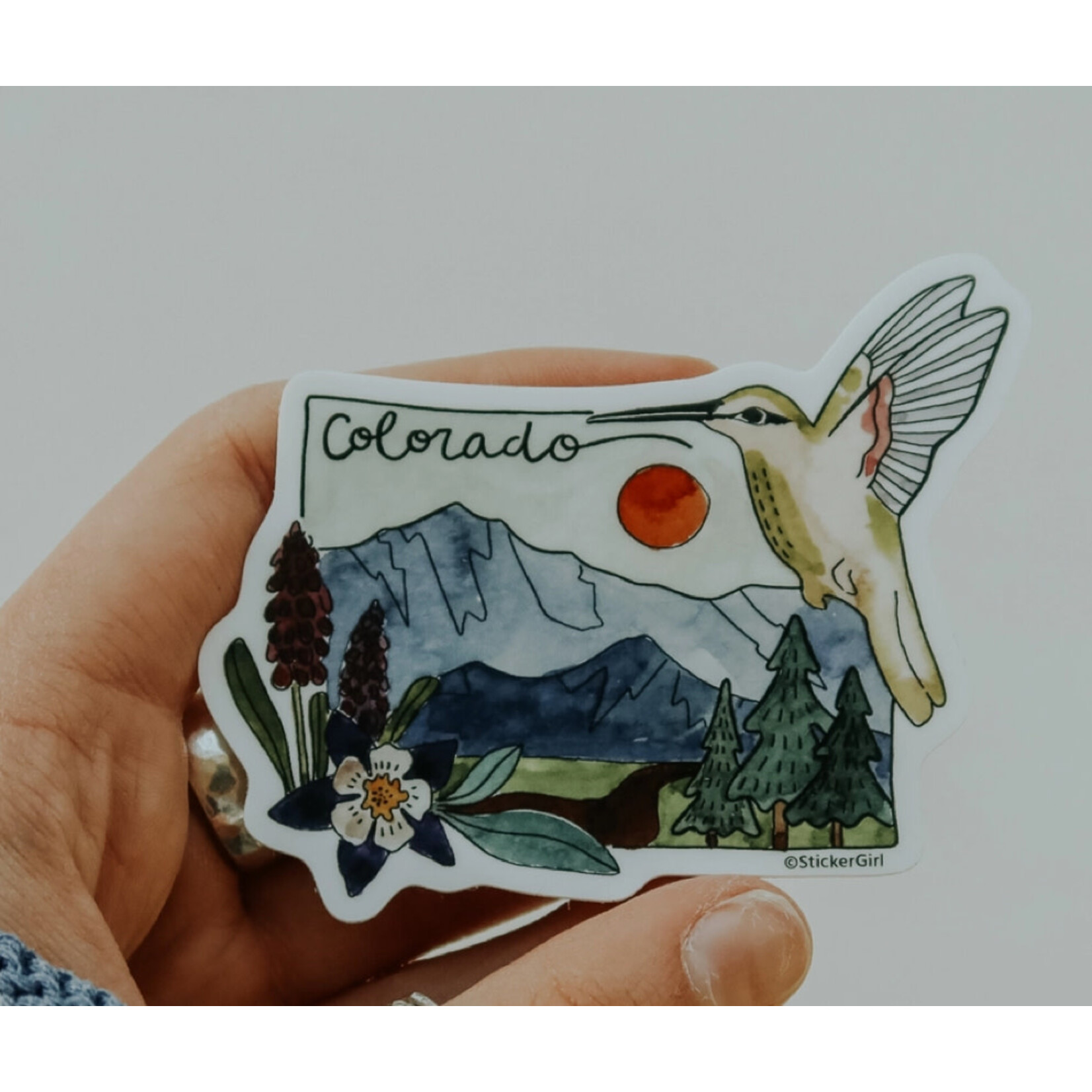 Sticker Girl Sticker Girl  Colorado Hummingbird Vinyl Sticker