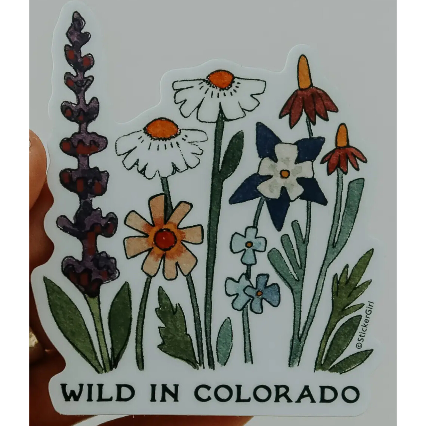 Sticker Girl Sticker Girl Wild in Colorado Vinyl Sticker