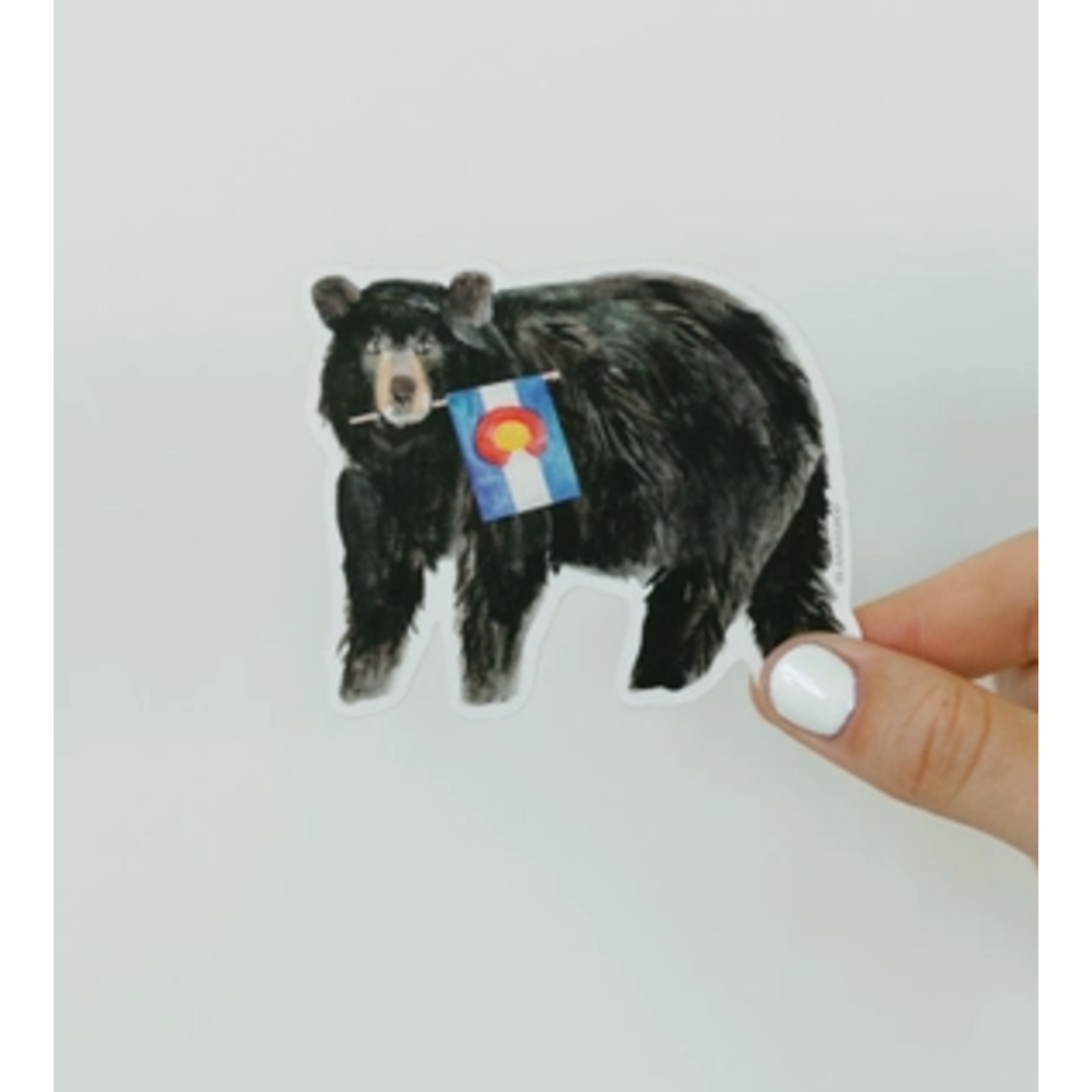 Lana's Shop Lana's Shop Colorado Bear Sticker
