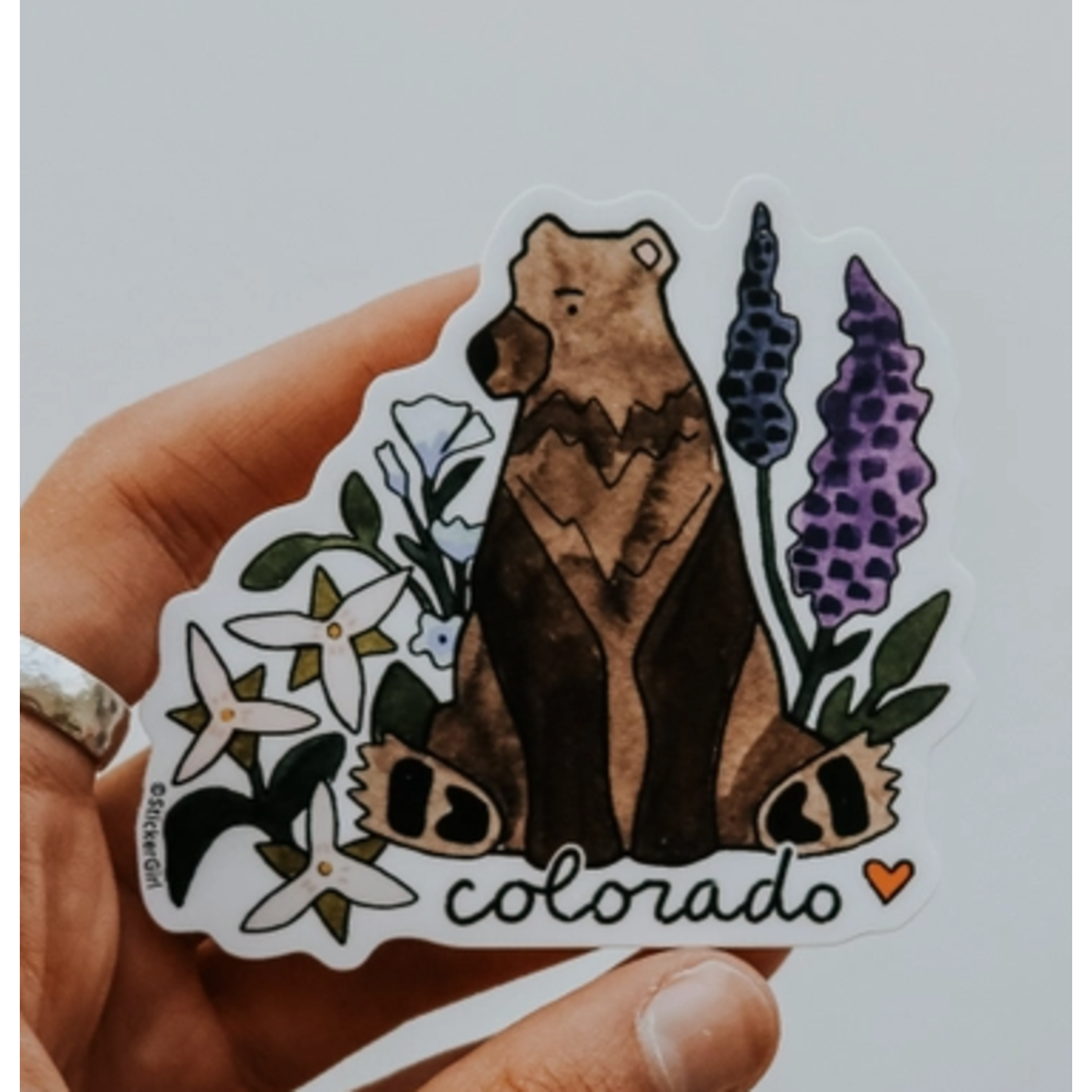 Sticker Girl Sticker Girl  Colorado Brown Bear with Flowers Vinyl Sticker