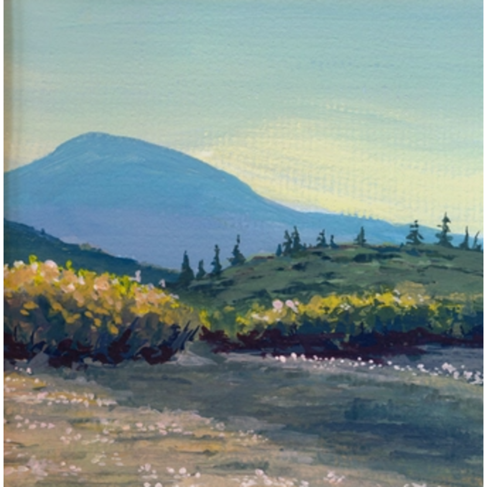 Beimborn Art Beimborn Art Mountain Shadow 8X8