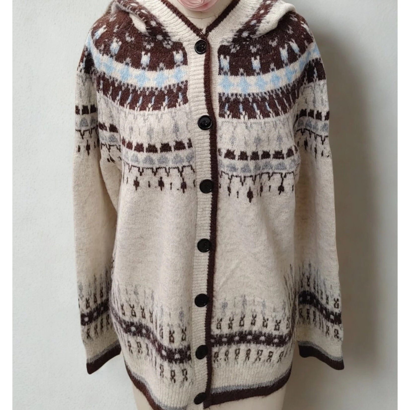 Madelyn Madelyn FAIR Isle Hooded Button-Up Knit Cardigan