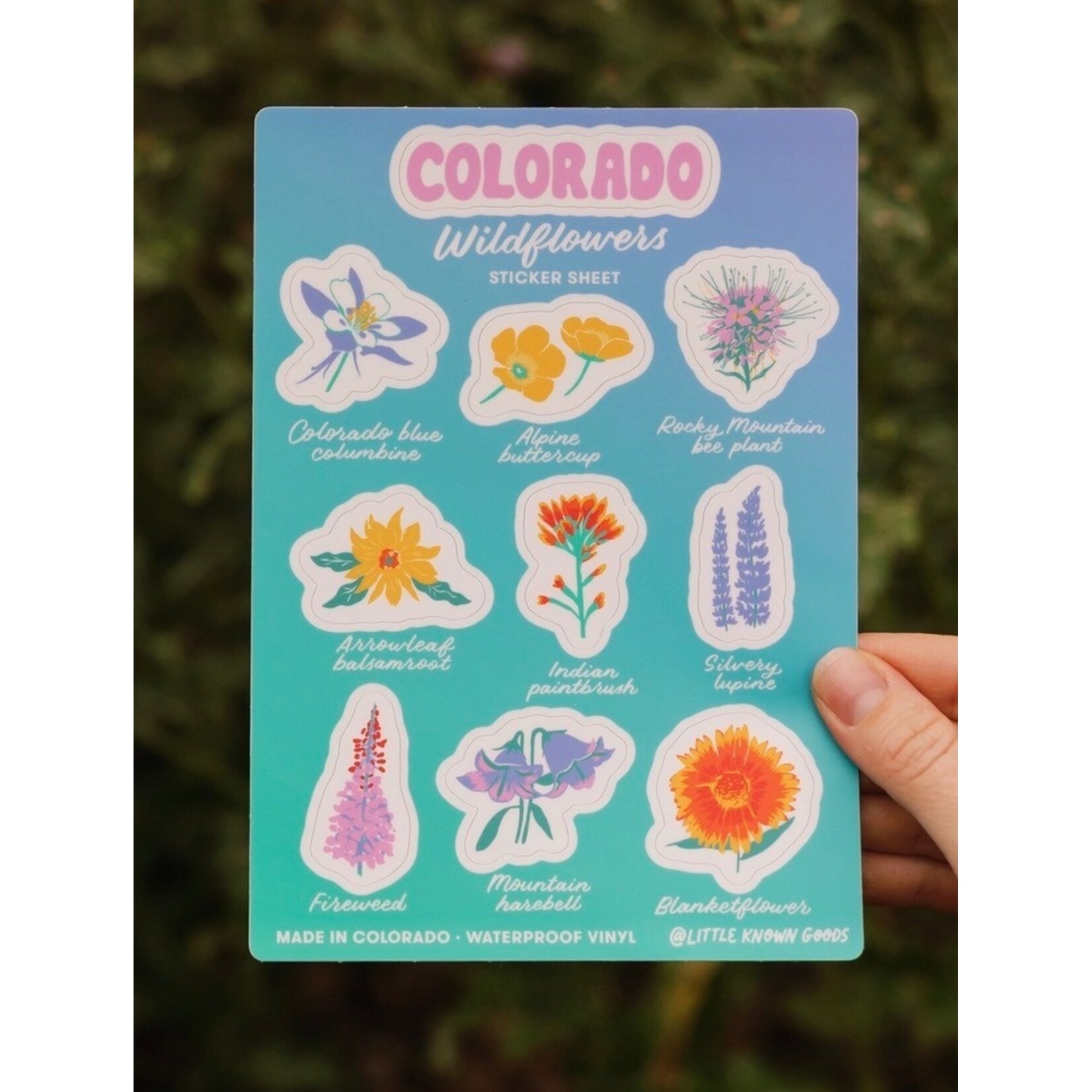 Little Known Goods LKG Colorado Wildflowers Sticker Sheet