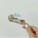 Lana’s Shop Otter Drink Water Reminder Sticker