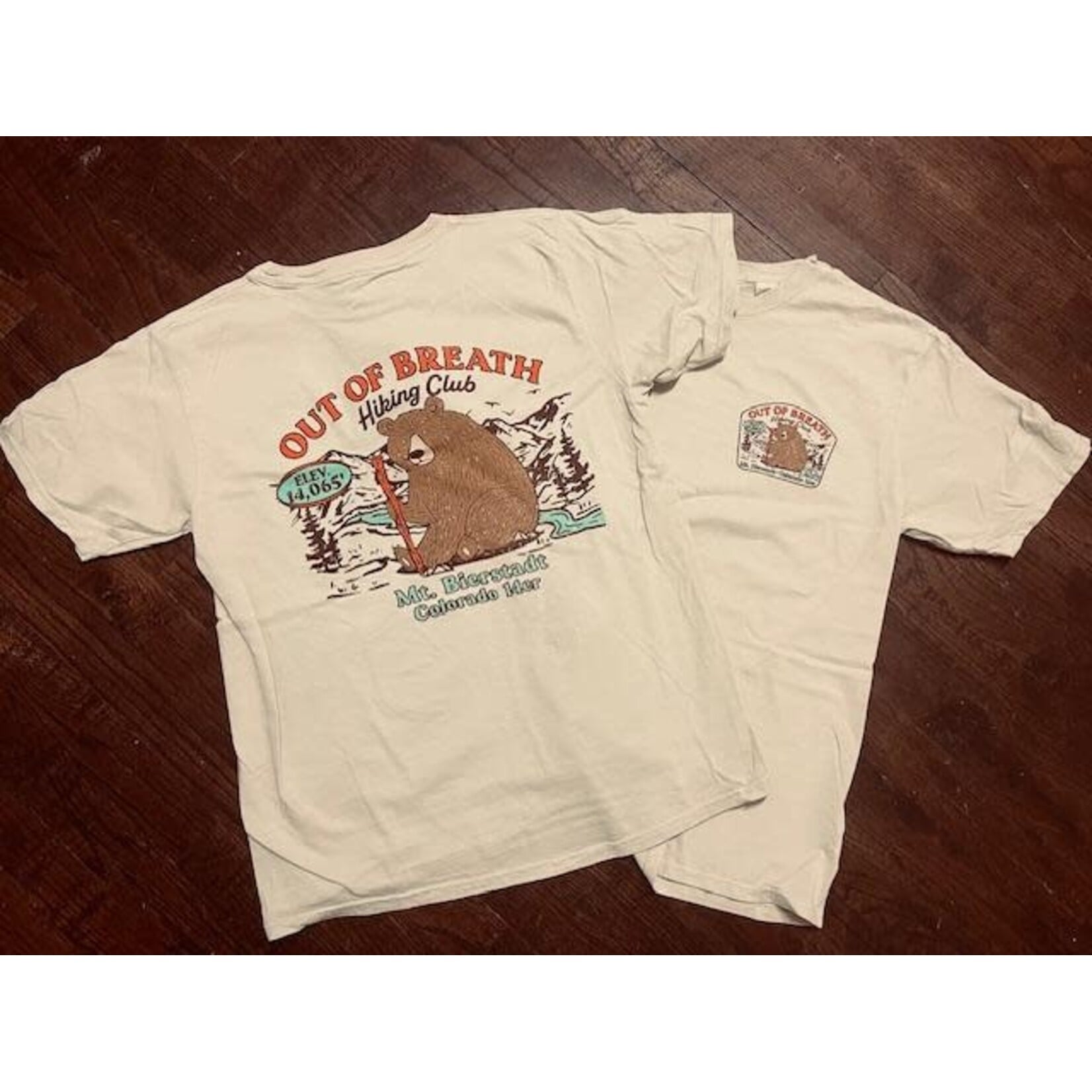 EMI EMI Out of Breath Bierstadt T-shirt