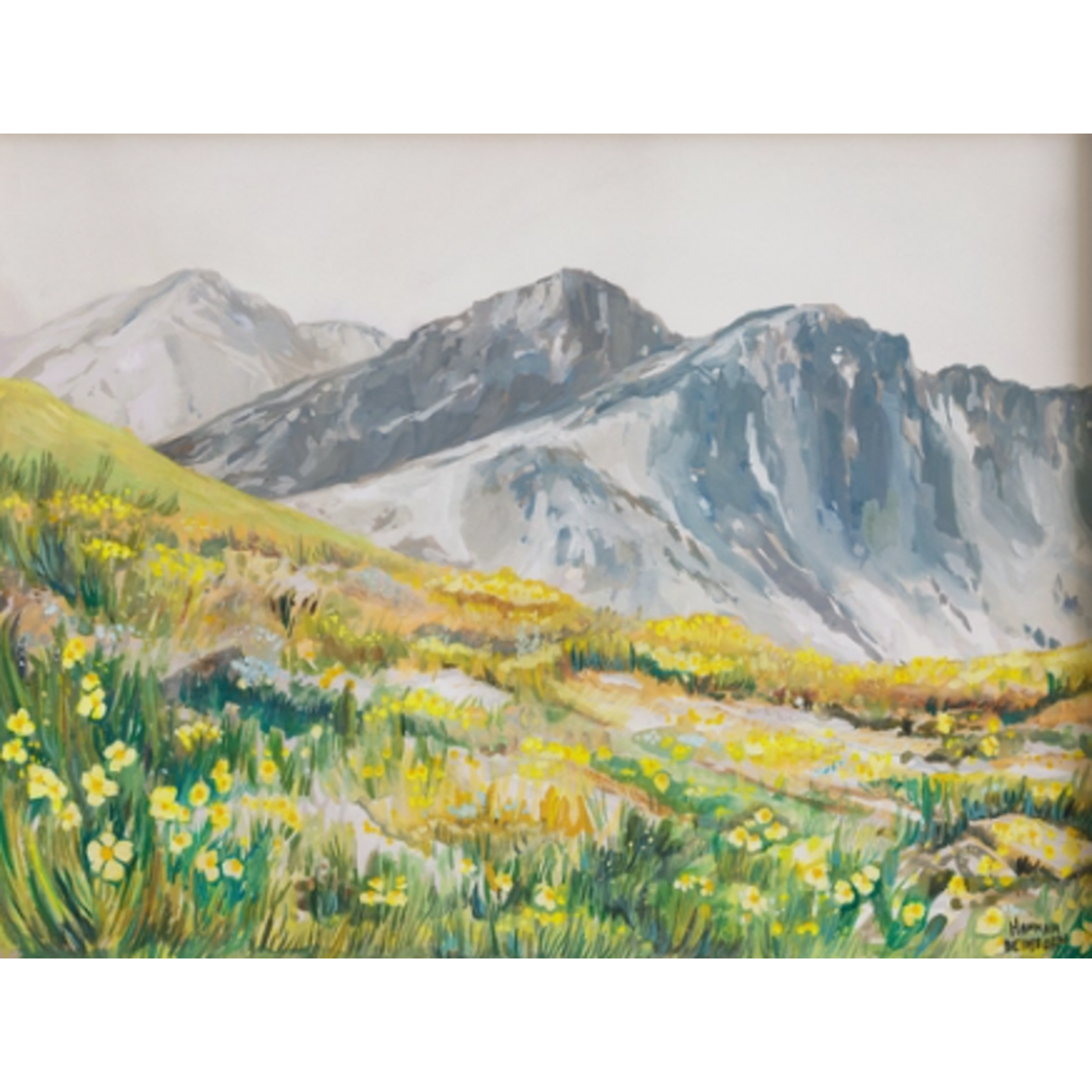 Beimborn Art Beimborn Art High Country Bloom 8x10