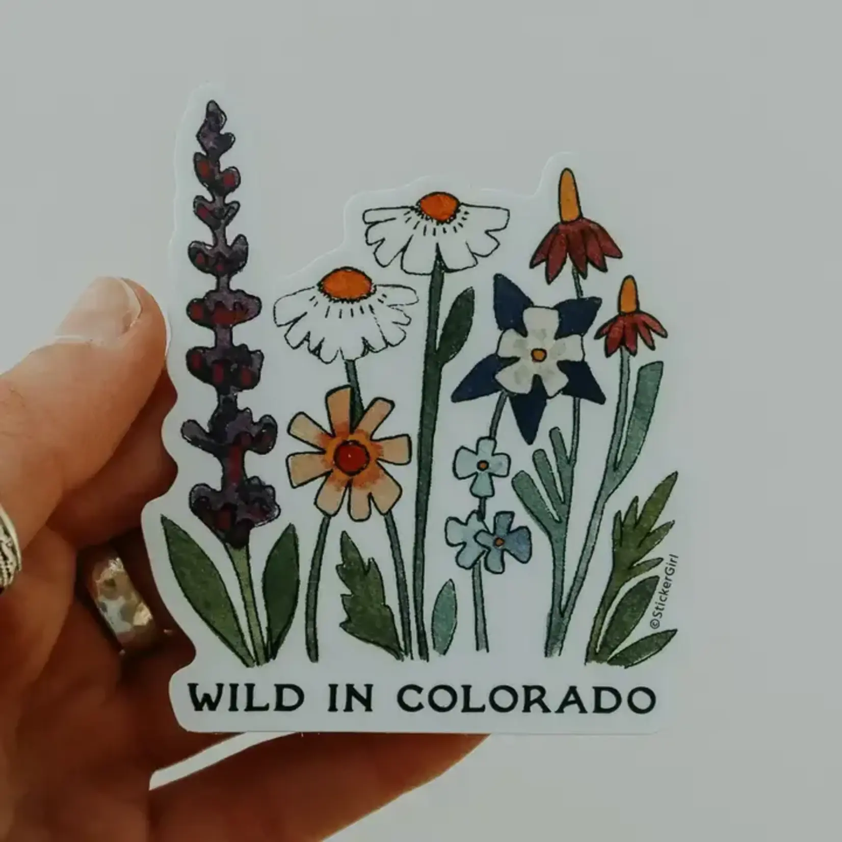 Sticker Girl Sticker Girl Wild in Colorado Vinyl Sticker