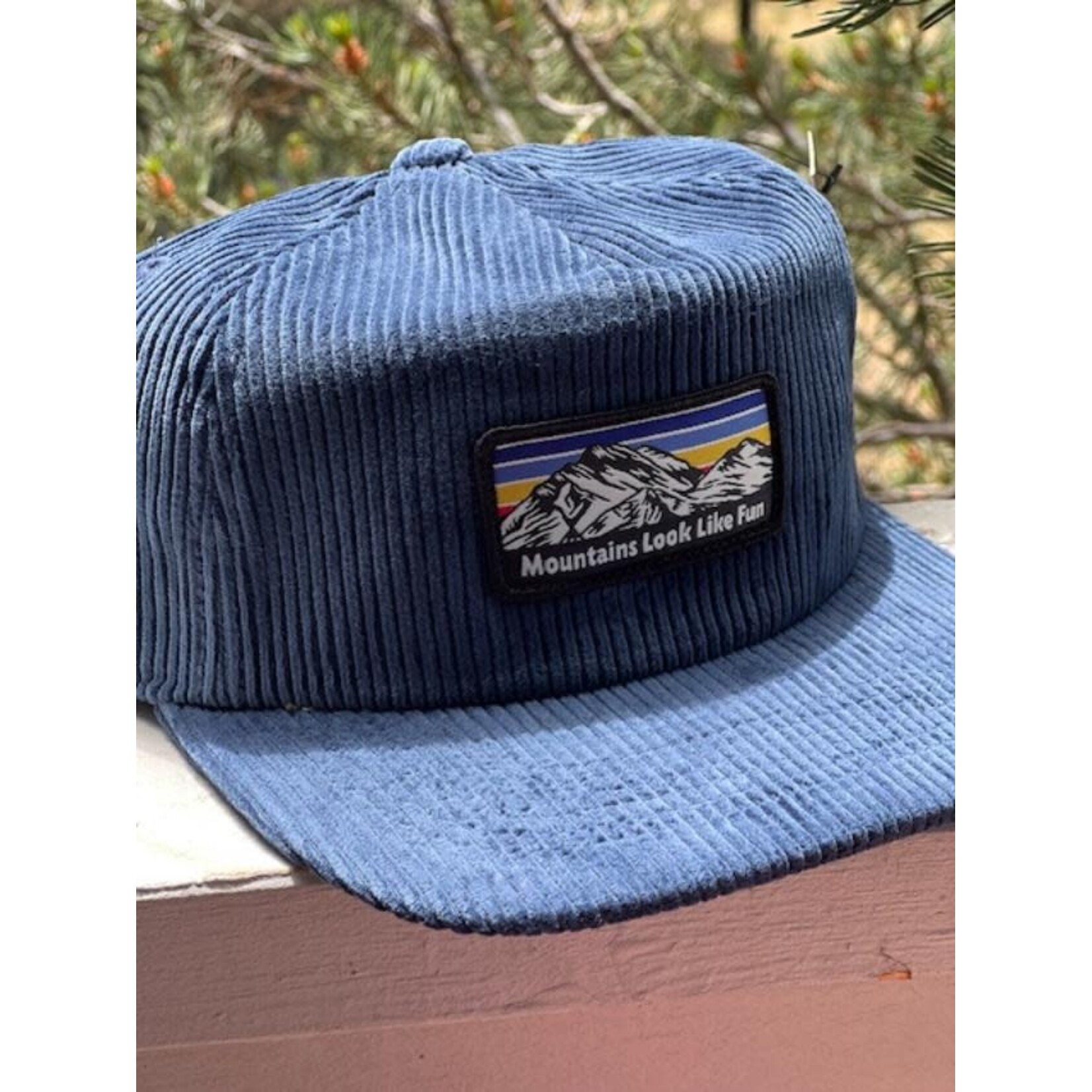 Brist MFG Brist Mountains Look Like Fun Corduroy Navy