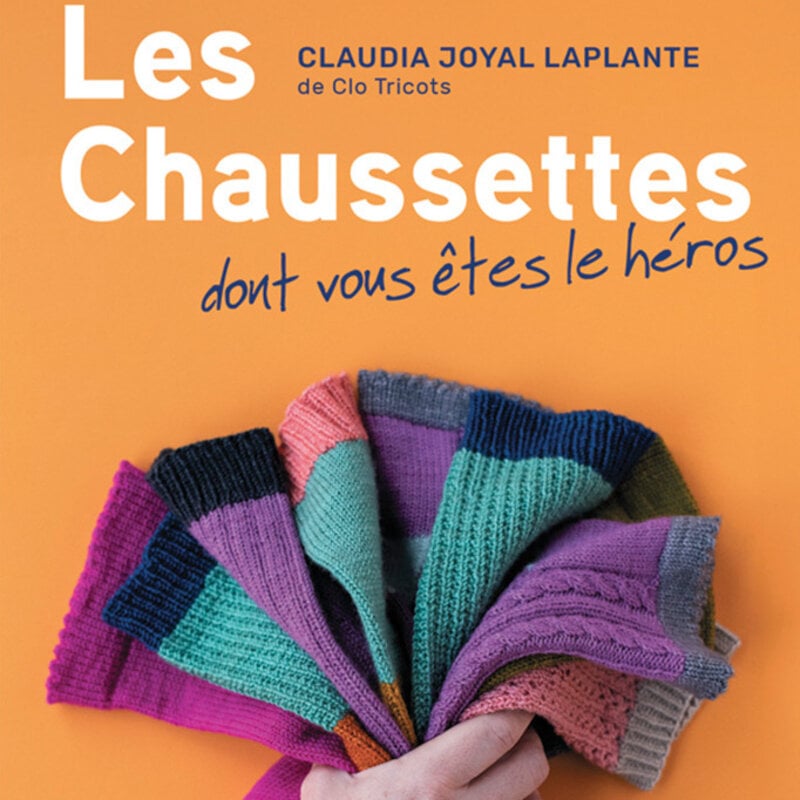 Les Chaussettes dont vous êtes le héros - Claudia Joyal Laplante