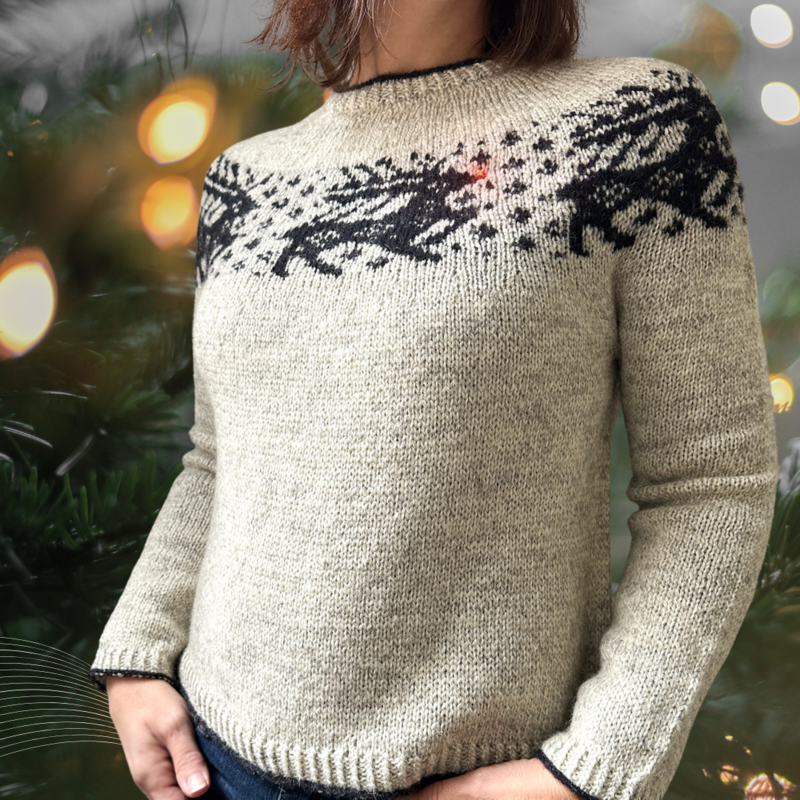 Bon Tricot Sleigh Ride Sweater Kit by Espace Tricot