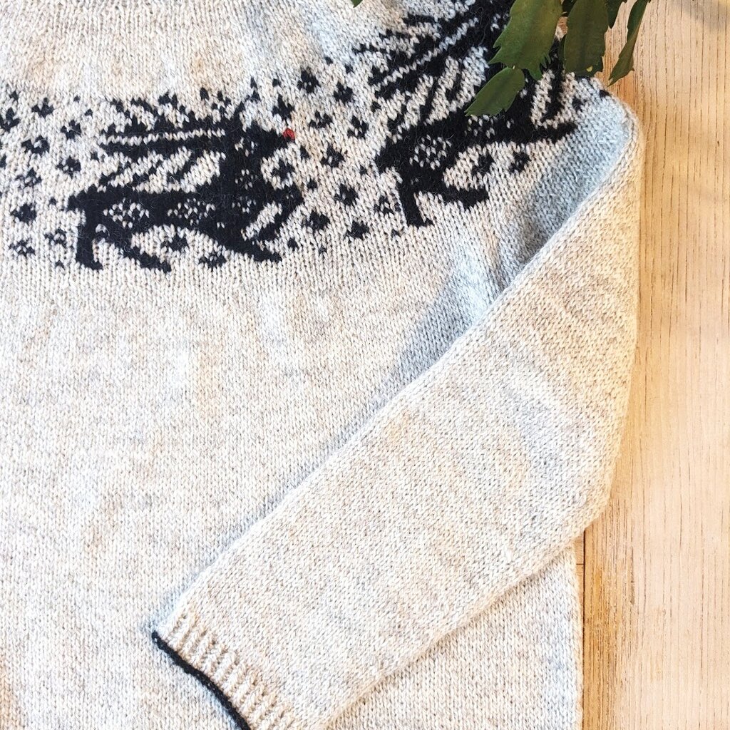 Bon Tricot Sleigh Ride Sweater Kit by Espace Tricot