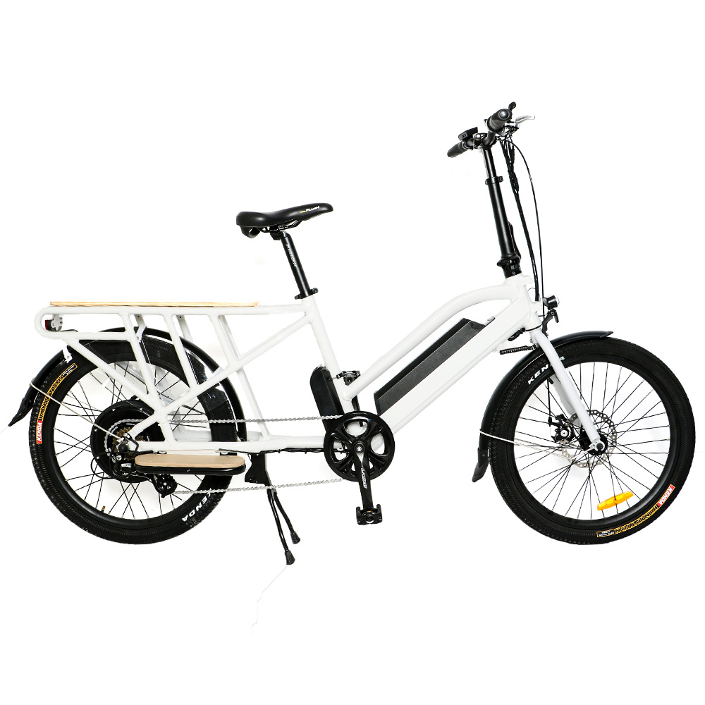 Cargo E Bike 30 Mile Range Rental