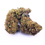 Cannabis Purple Gusherz