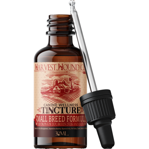 Green Line Dog CBD Tincture