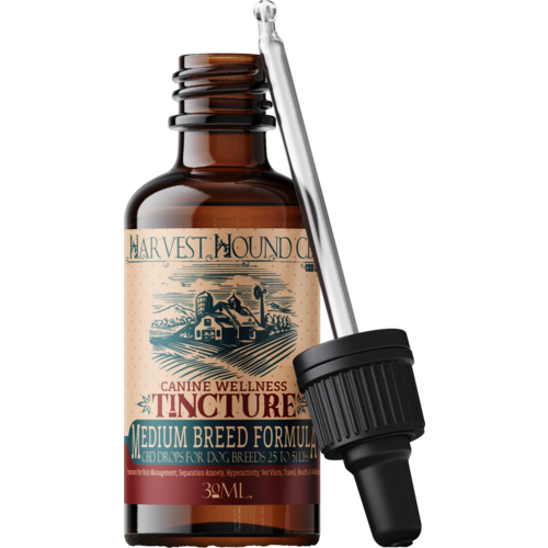 Green Line Dog CBD Tincture