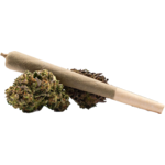 Cannabis Pre-Roll Roulette