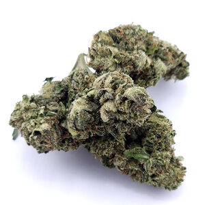 Cannabis Cement Shoes