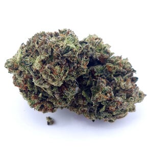 Cannabis Lemon Z