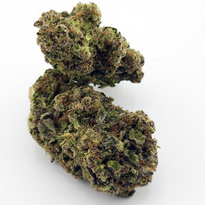 Cannabis Garlic Mintz