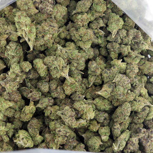 Cannabis Lemon Pie