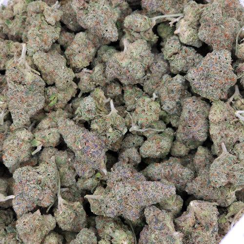 Cannabis Master Kush Cannabis Master Kush