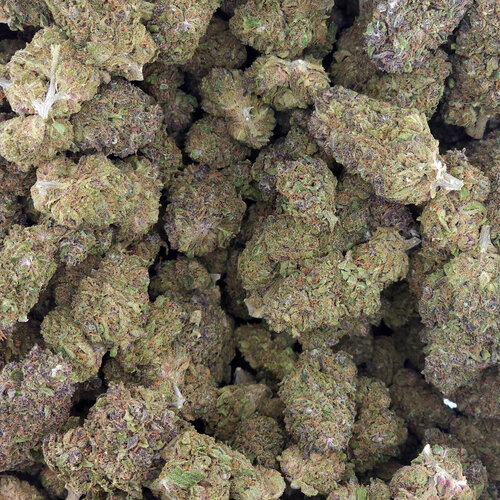 Cannabis Garlic