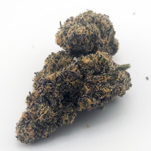 Exotic Cannabis Dosi Punch