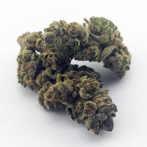 Cannabis Ghost Train Haze