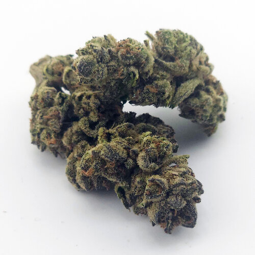 Cannabis Ghost Train Haze Cannabis Ghost Train Haze