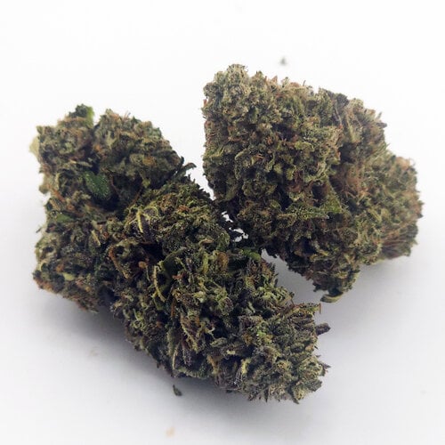 Cannabis Afghani Cannabis Afghani