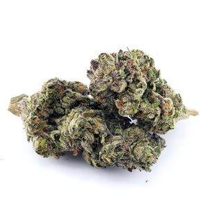 Cannabis Shadow Kush Cannabis Shadow Kush