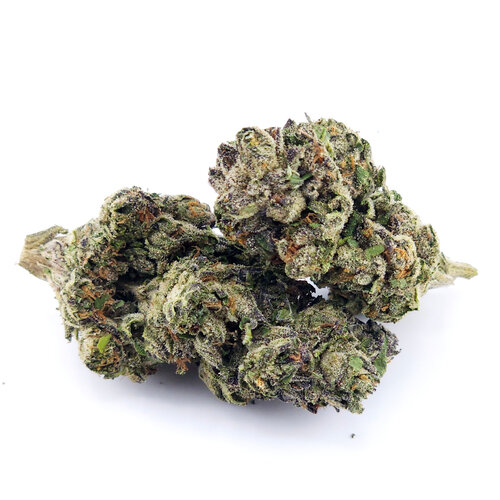 Cannabis Shadow Kush