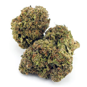 Cannabis AK-47