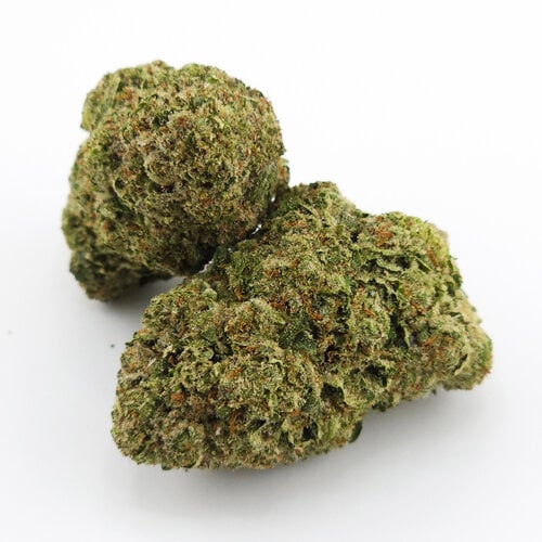 Cannabis Tangerine Dream Cannabis Tangerine Dream