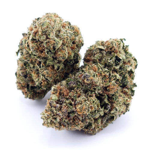 Cannabis London Jealousy Cannabis London Jealousy