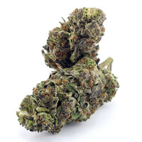 Cannabis Black Amber