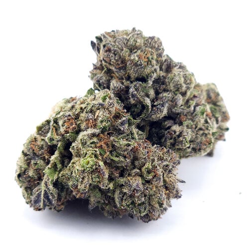 Cannabis Jack Herer Cannabis Jack Herer