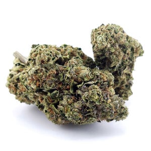 Cannabis Sour Tangie