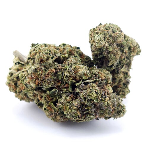 Cannabis Sour Tangie Cannabis Sour Tangie