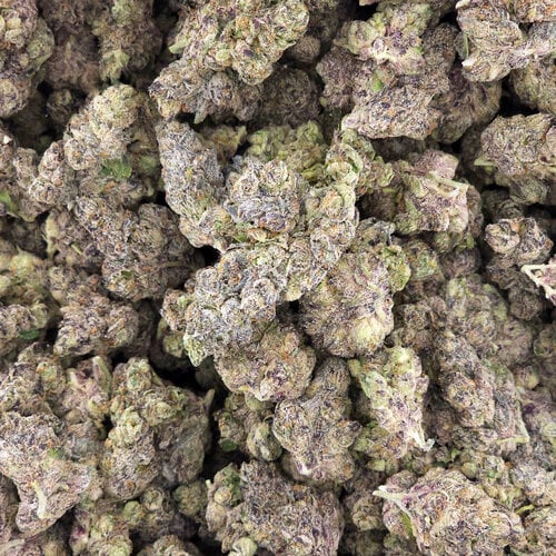 Exotic Cannabis Gas Face Exotic Cannabis Gas Face