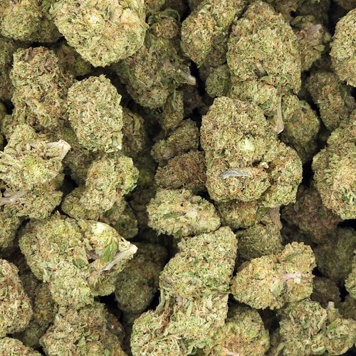 Cannabis Purple Chem