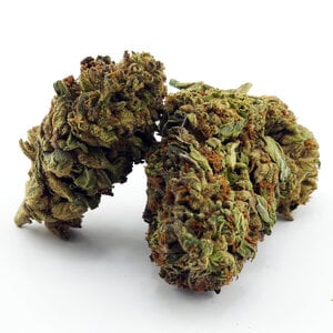 Cannabis Durbin Poison