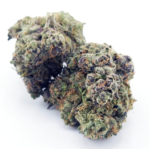 Cannabis Exotic Black Amber