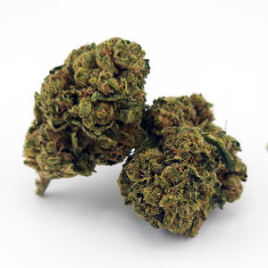 Cannabis Guava Kush