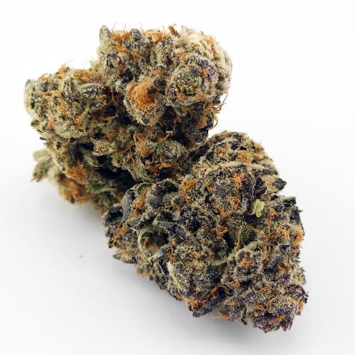 Cannabis Purple Urkel Cannabis Purple Urkel