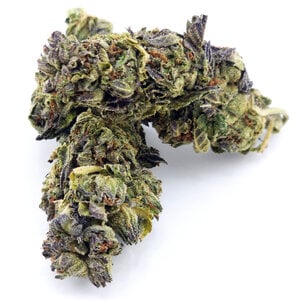 Cannabis Mimosa Kush