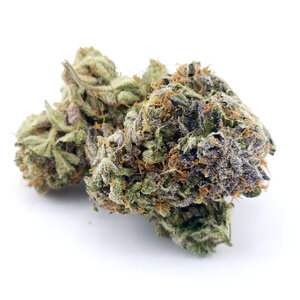 Cannabis Exotic Bahama Mama Cannabis Exotic Bahama Mama